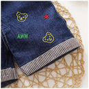 Jardineira Leãozinho