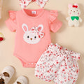 Conjunto Rabbit